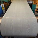 AiSi ASTM 0.3mm Prepainted Galvanized Steel Coils Hot Dipped PPGL Color Coated
