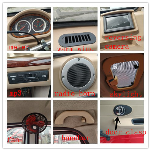 Closed 3 Wheel Petrol 520kg Motorized Passenger Tricycle