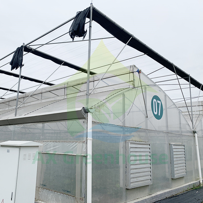 Steel Tructure Agriculture Large Tunnel Black White Film Light Deprivation Blackout Greenhouse