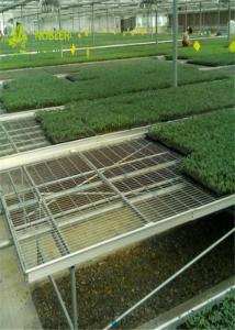 Quality Large Wire Greenhouse Grow Beds And Tables / Garden Center Tables wholesale