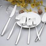 NC011 stainless steel spoon/fork/cutlery/flatware/tableware set