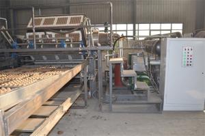 Quality Paper Egg Tray Manufacturing Machine / Pulp Molding Machine 2 Years Warranty wholesale