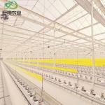 Blueberry Grapes Commercial Greenhouse with Heat Preservation Quilt and Heating
