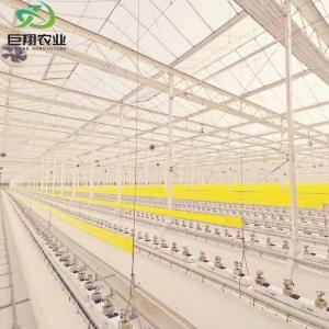 Quality Hydroponic JX-Film Green House for Vegetables Tomato/Cucumber Pepper Flowers and Fruits wholesale