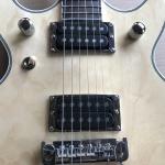 High-quality OEM electric guitar, Ebony Fingerboard electric guitar, free
