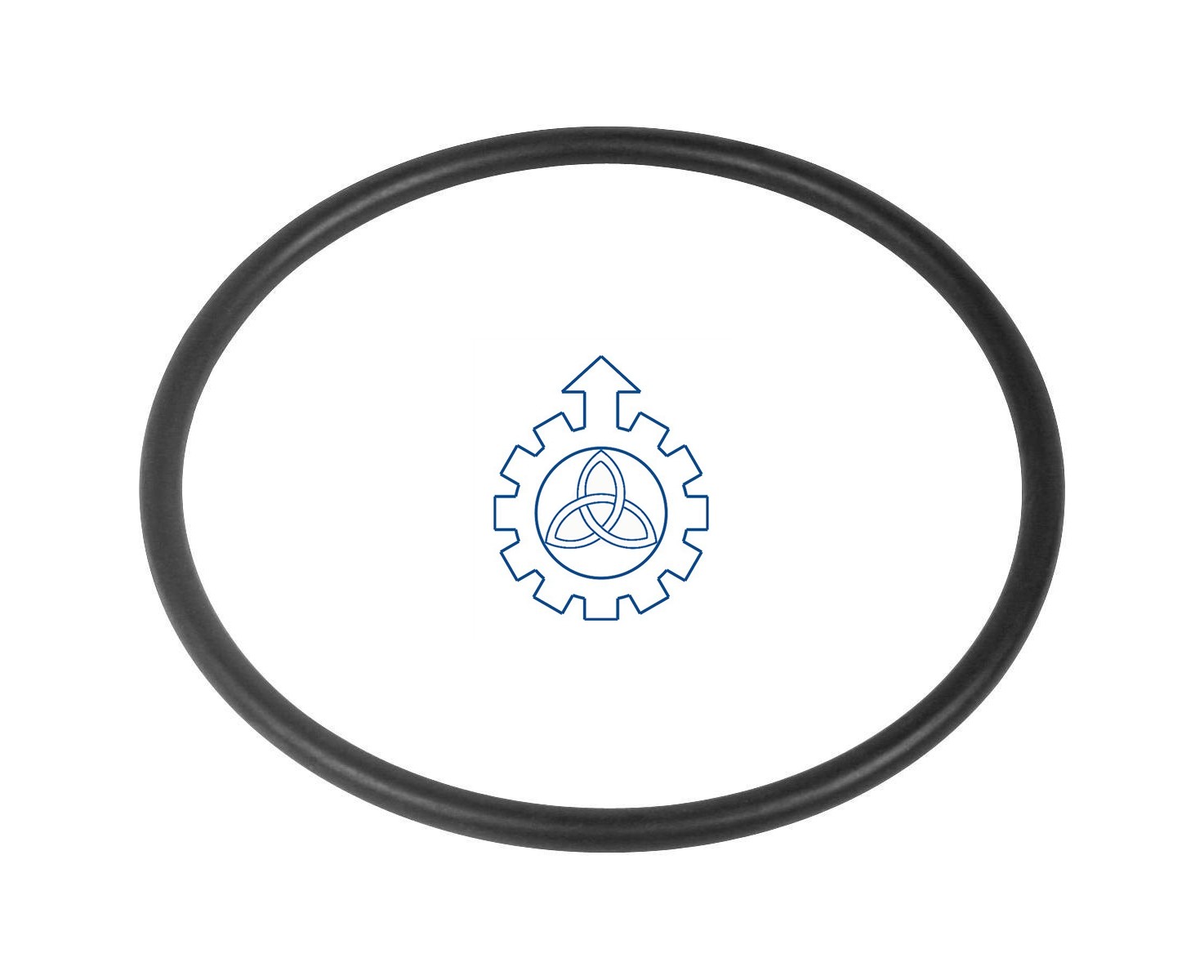 O-ring 17297380