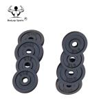 Black Painting Cast Iron Weight lifting weight Plate For Gym