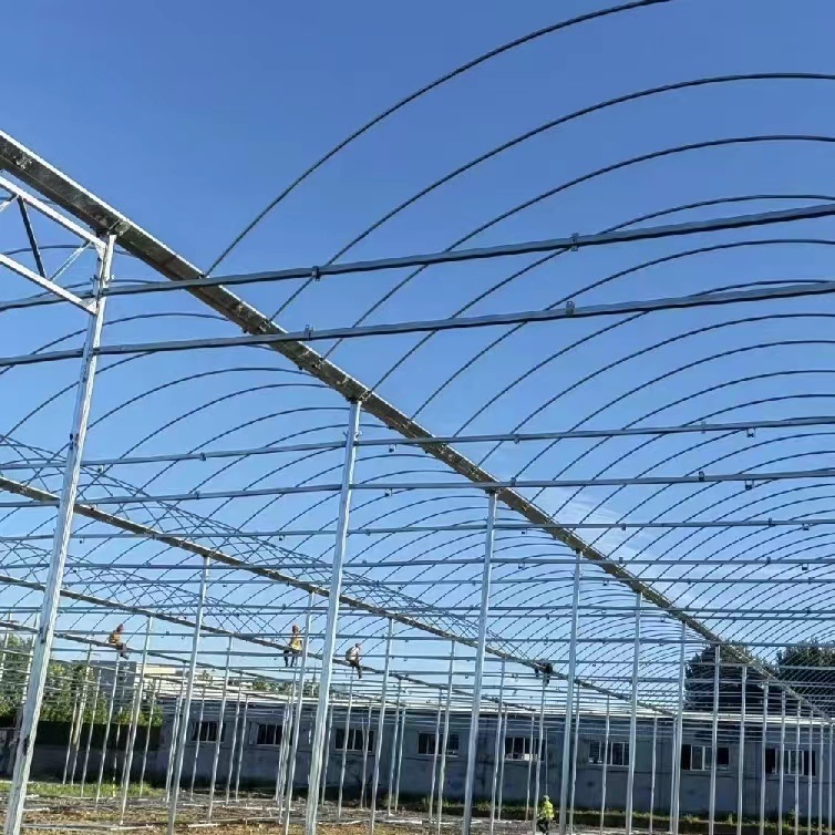 Frame Steel Galvanized Multi-Span/Plastic Film Greenhouse with Hydroponics