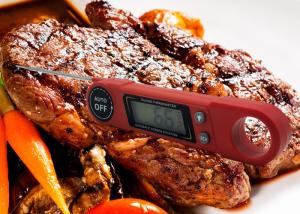 Quality Food Grade ABS Plastic Instant Read Meat Thermometer Battery Operated wholesale