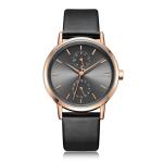 Small Dial Womens Casual Leather Watch Pin Buckle Tempered Glass Waterproof