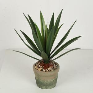 Quality Artificial Flexible Glue Agave Americana Plant wholesale
