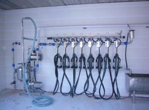 Quality Fish bone Pipeline Herringbone Milking System 4KW 380V / 50Hz wholesale