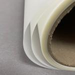 PET Transparent DTF Hot Inkjet Screen Printing Film