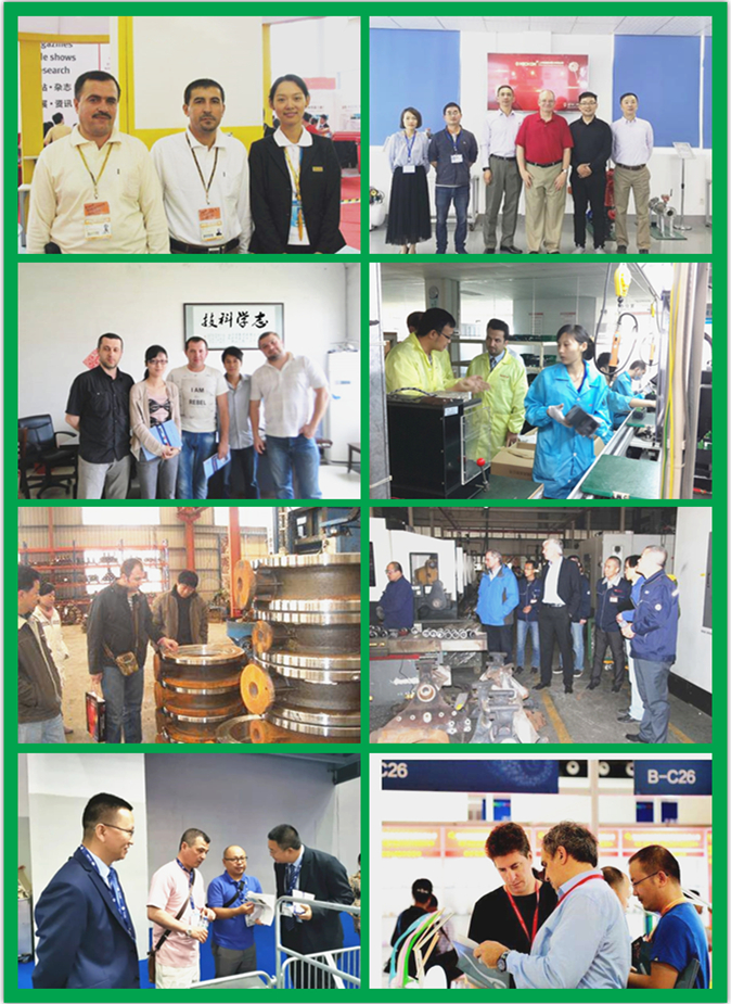 Mechanical Disposable Rubber Gloves Production Line Nitrile