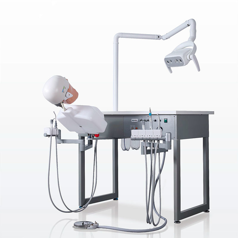 School Ultraportable Dental Phantom Head , Removable Dental Simulation Unit