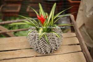 Quality home dicorative wicker garden baskets willow flower plant baskets manufacture wholesale
