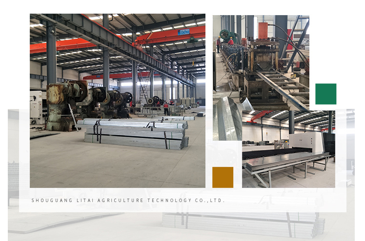 Film Covered Mushroom Cultured Greenhouse for Mushroom Cultivation and Easy Assembly