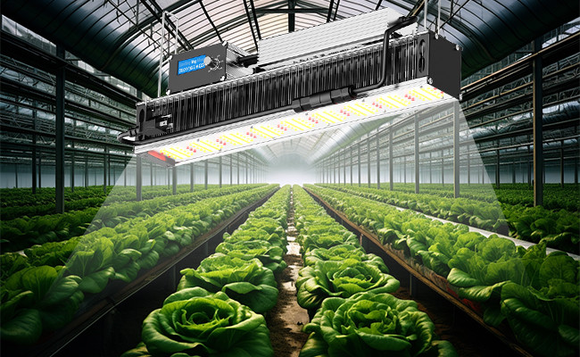 LED Toplighting Grow Light 480w Led Grow Light Dimmable Spectrum Control Weed Cultivation Dimmable Liner Light