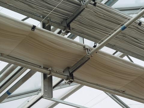Economical European Polycarbonate Greenhouse with Roof and Side Ventilation Panels