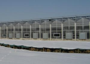 Quality PC Sheet Cover Material and Commercial Vegetables Seeds Vertical Farming Greenhouse wholesale
