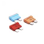 80V Standard Car Auto Fuse