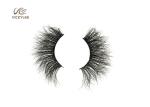 Sustained Plastic Stalk ODM Dramatic Fake Lashes