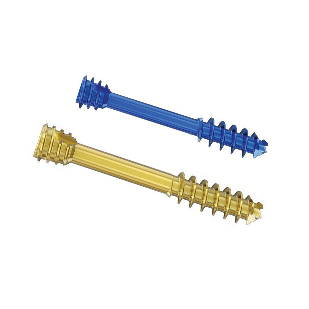 Orthopedic Herbert Bone Cannulated Compression Headless Screw Implant