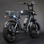 Dual 48V 15Ah Battery Electric Fat Tire Bike / Full Suspension Fat Tire Ebike