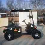 OEM Mini Aetric 2 Seater Golf Cart 30mph With Lead Acid Battery