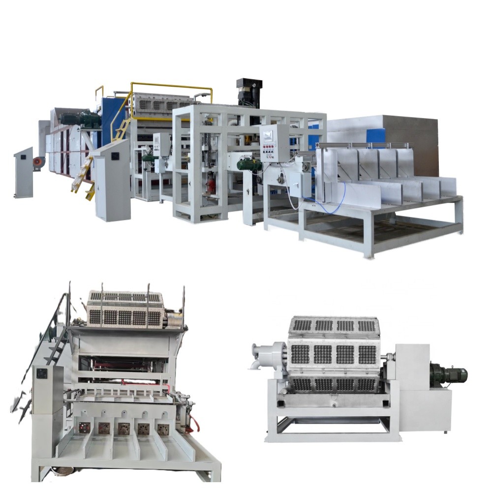 Boost Production High Performance Egg Tray Machine Pulp Molding Machine