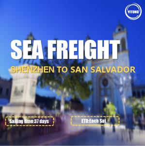 Quality Shenzhen To San Salvador International Ocean Logistics Via ACAJUTLA wholesale