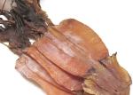 Iso Semi Dried Squid Todarodes , Pacificus Dried Squid Wr For Dishes