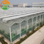 Top and Side Ventilation System Large Glass Garden Greenhouse