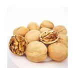 Hot The best quality of xinjiang walnuts in wholesale at cheap price Amazon’s