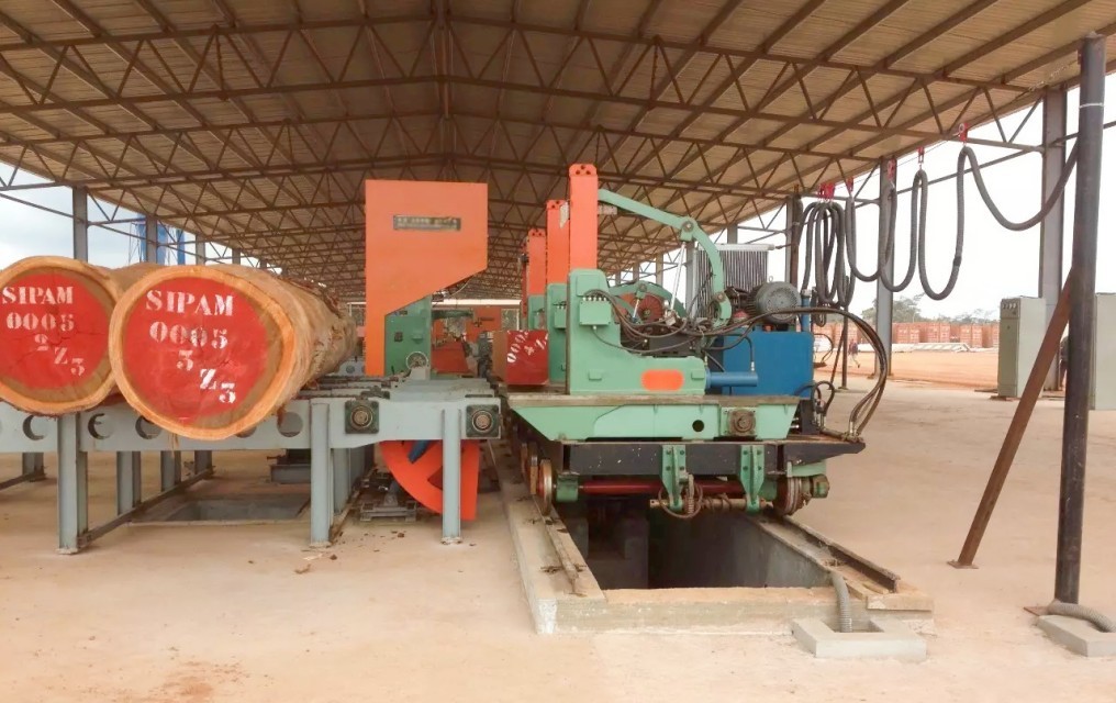 Wood Plank Making Machine!!! MJ3310-Z5000 Vertical Band Saw Cutting Machine For Wood Cutting