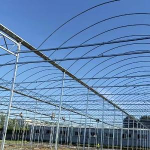 Quality JX-A0038 Multi Span Plastic Film Greenhouse for Garden Products at in US Currency wholesale