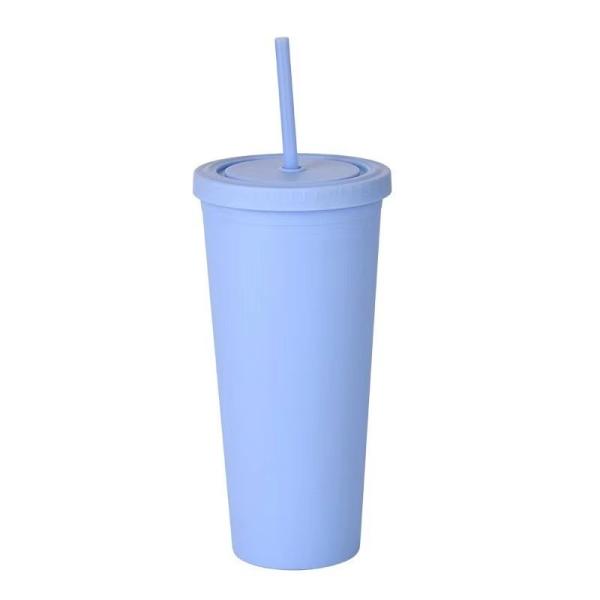 Colorful 450/650ml Candy Color Double Insulated Plastic Tumblers Acrylic Matte
