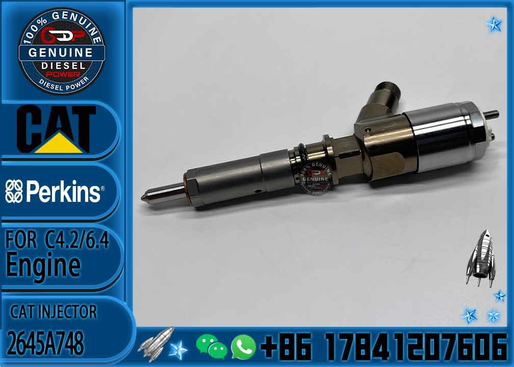 Common rail injector fuel injecto 10R-7675 2645A748 2645A743 320-0670 10R-7670 317-2300 for C4.2 C6.4 Excavato
