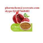Manufacturer Hot Sale Natural Cistanche Deserticola Extract Powder