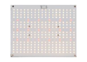 Quality 380nm 5000K Quantum Board Led Grow Lights wholesale