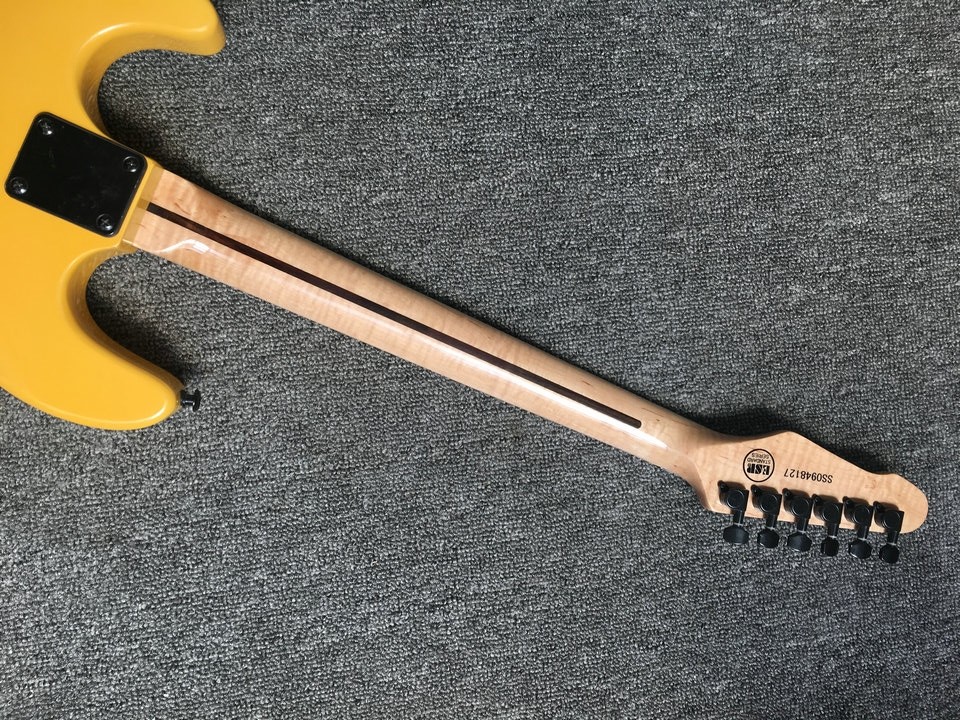 Eddie Van Halen TRIBUTE Electric Guitar