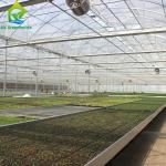 Commercial Plastic Multi Span Agricultural PO Film Greenhouse Accessories