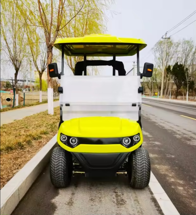 10 Inch Tire Optional Lithium Battery Electric Golf Cart 4KW Motor Customized