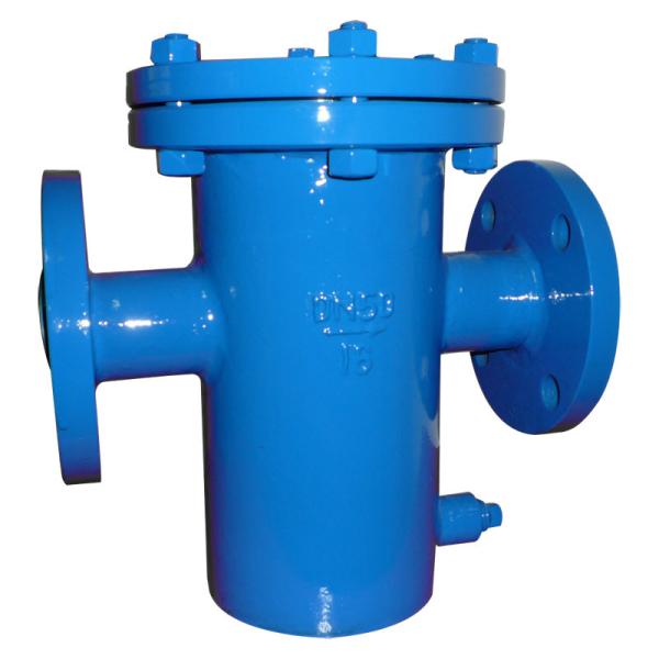 Cheap Double Flanged Y Strainer Basket Type Strainer  ANSI / EN1092.2 PN10/16 for sale