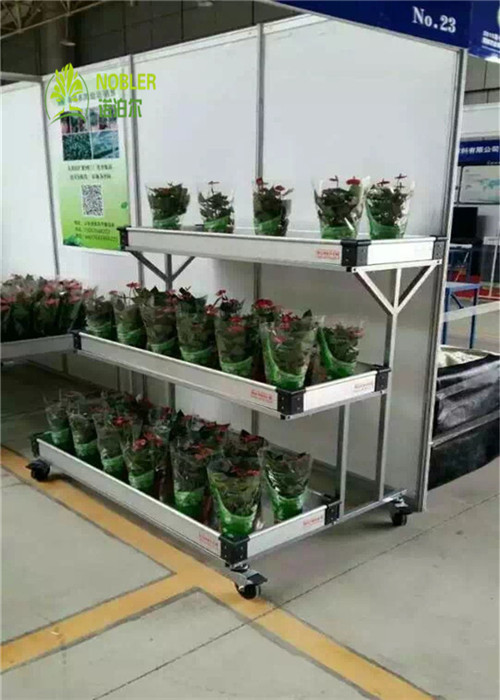 Flower Trolley Flower Frame Seedling Car Hot Dip Galvanizing