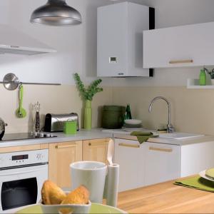 Quality Multi Functional Gas Wall Hung Boiler 145W 8L For European Market wholesale