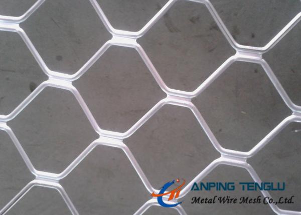 Cheap Beautiful Grid Mesh for Protection, Firm Structure & Corrosion Resistance for sale