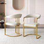 Stainless Steel Flange Luxury Dining Chairs For Leisure Facilities