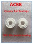 7201 All-ceramic bearing