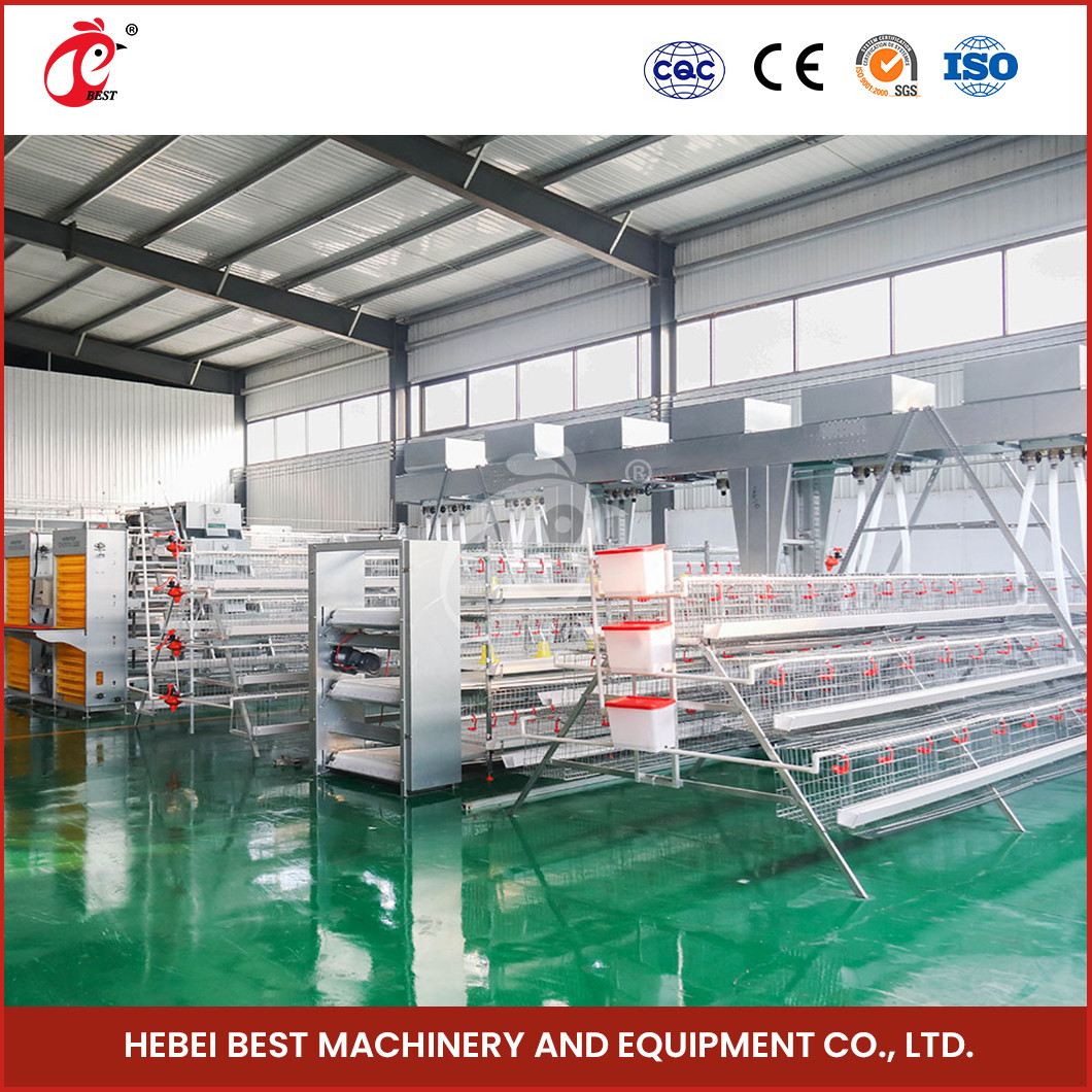 Fully Automatic 80-100kg Heavy Duty Layer Poultry Cage System With Sliding Door Rose